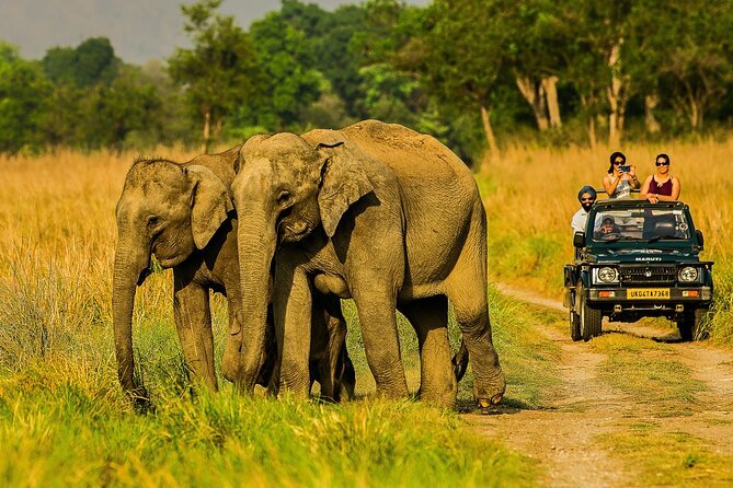 Wildlife Resort in Jim Corbett Ramnagar