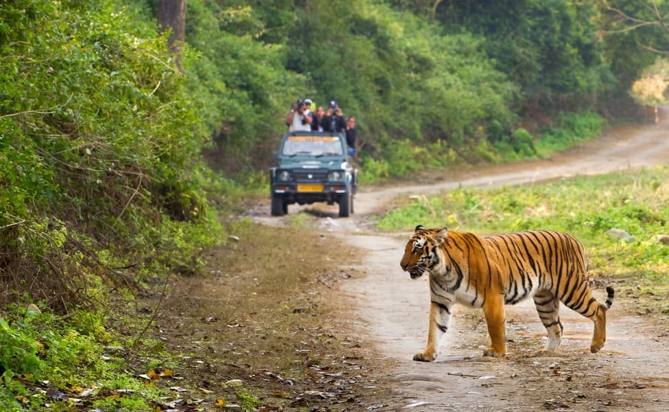 Jim Corbett Corporate Package