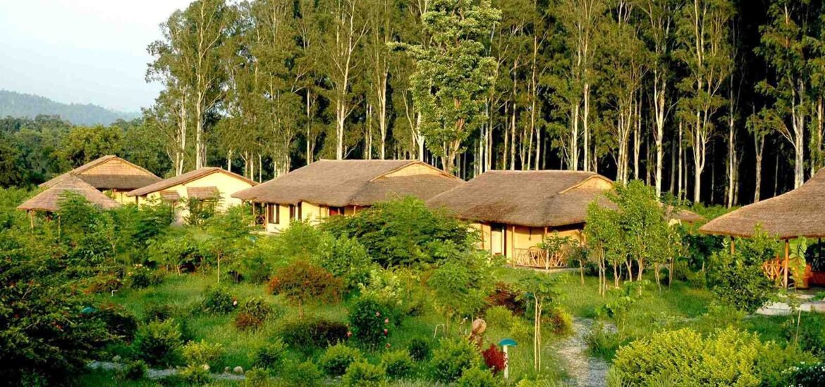 Best Jim Corbett Wildlife Resort in Jim Corbett, Uttrakhand